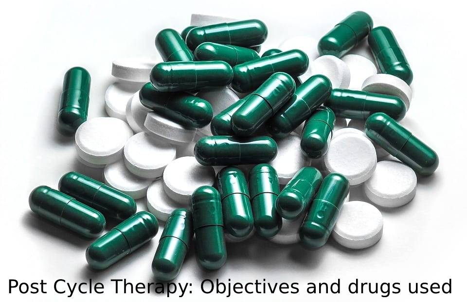 Post Cycle Therapy: Objectives and drugs used