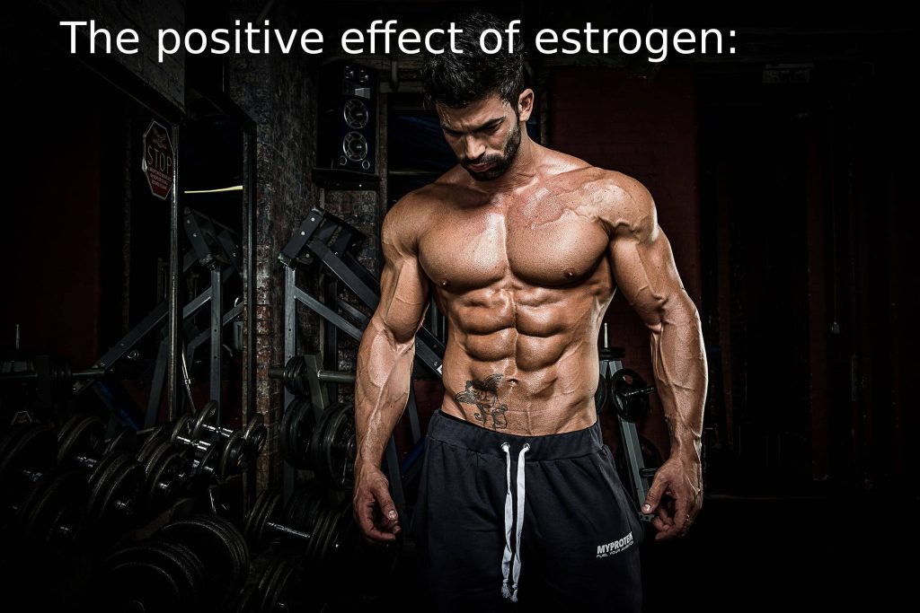 The positive effect of estrogen: